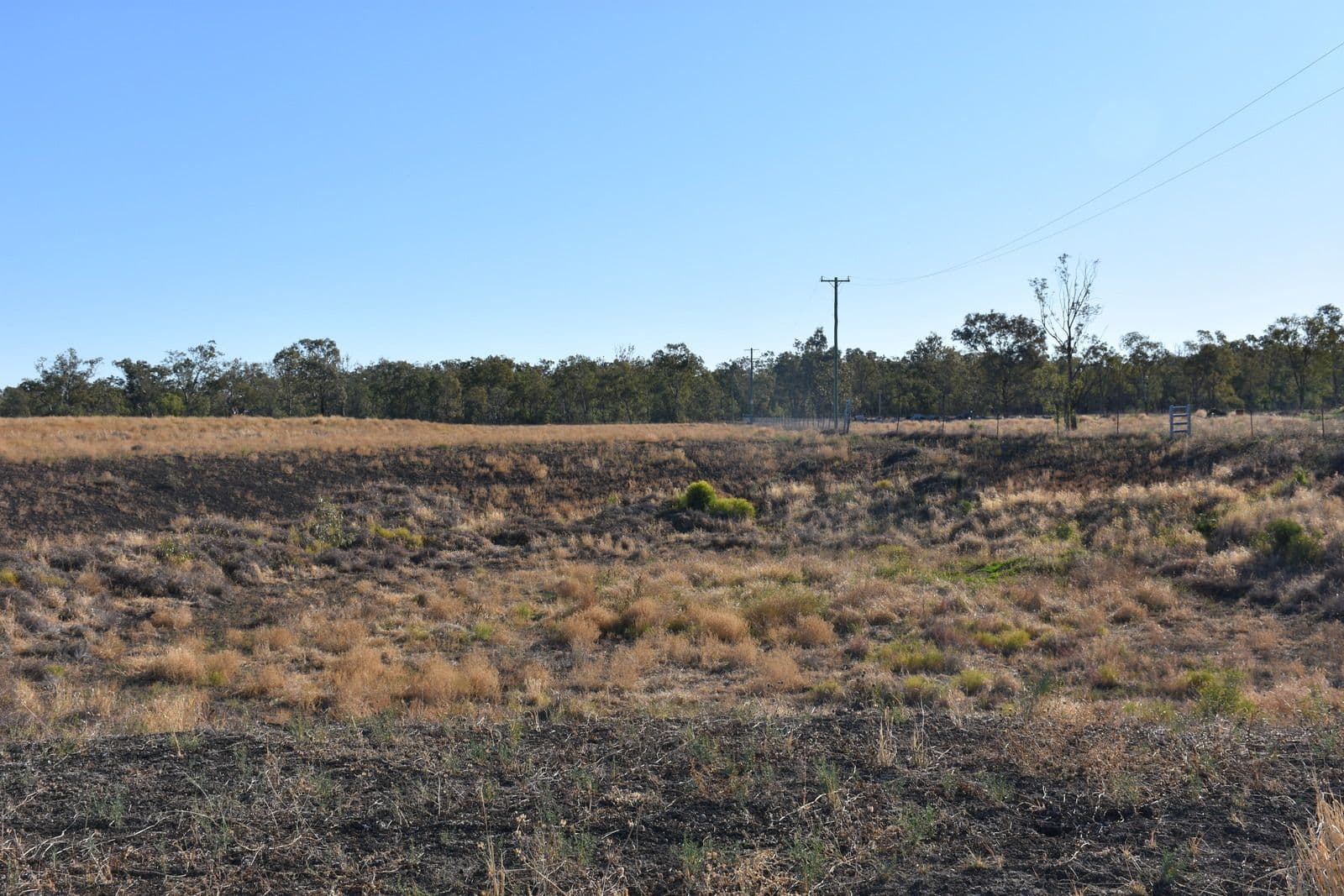 Lot 2 DP110772 Mallee Road, Moree NSW 2400, Moree - Thumbnail 6
