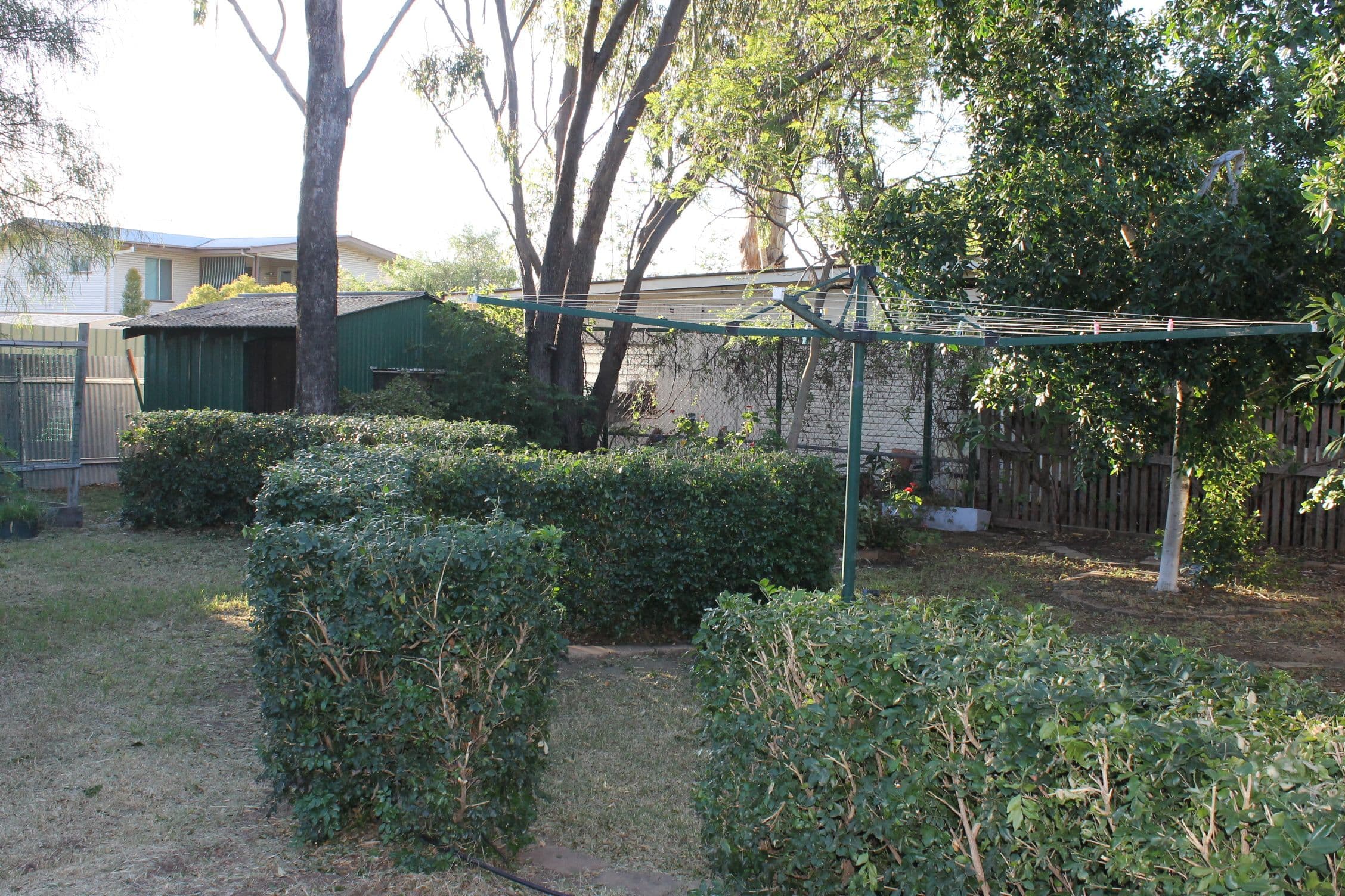 116 Edward Street, Dalby QLD 4405, Dalby - Thumbnail 8