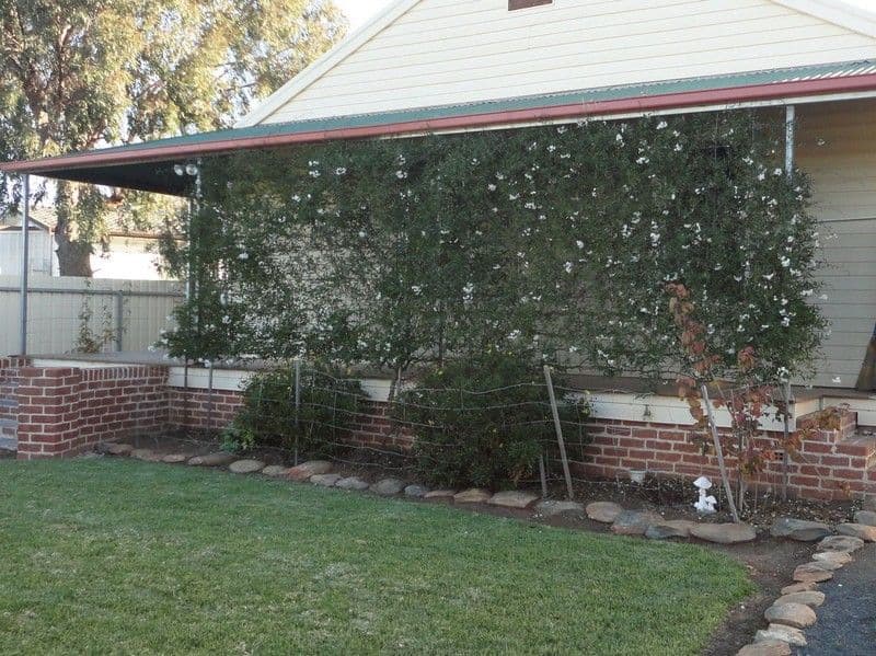 53 Robertson Street, BARMEDMAN NSW 2668, Barmedman - Thumbnail 6