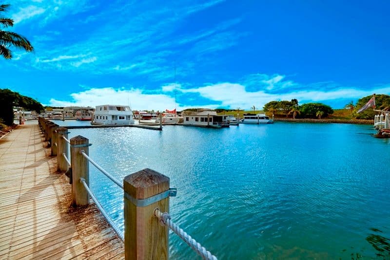 58 John Lund Drive, Hope Island QLD 4212, Hope Island - Thumbnail 3
