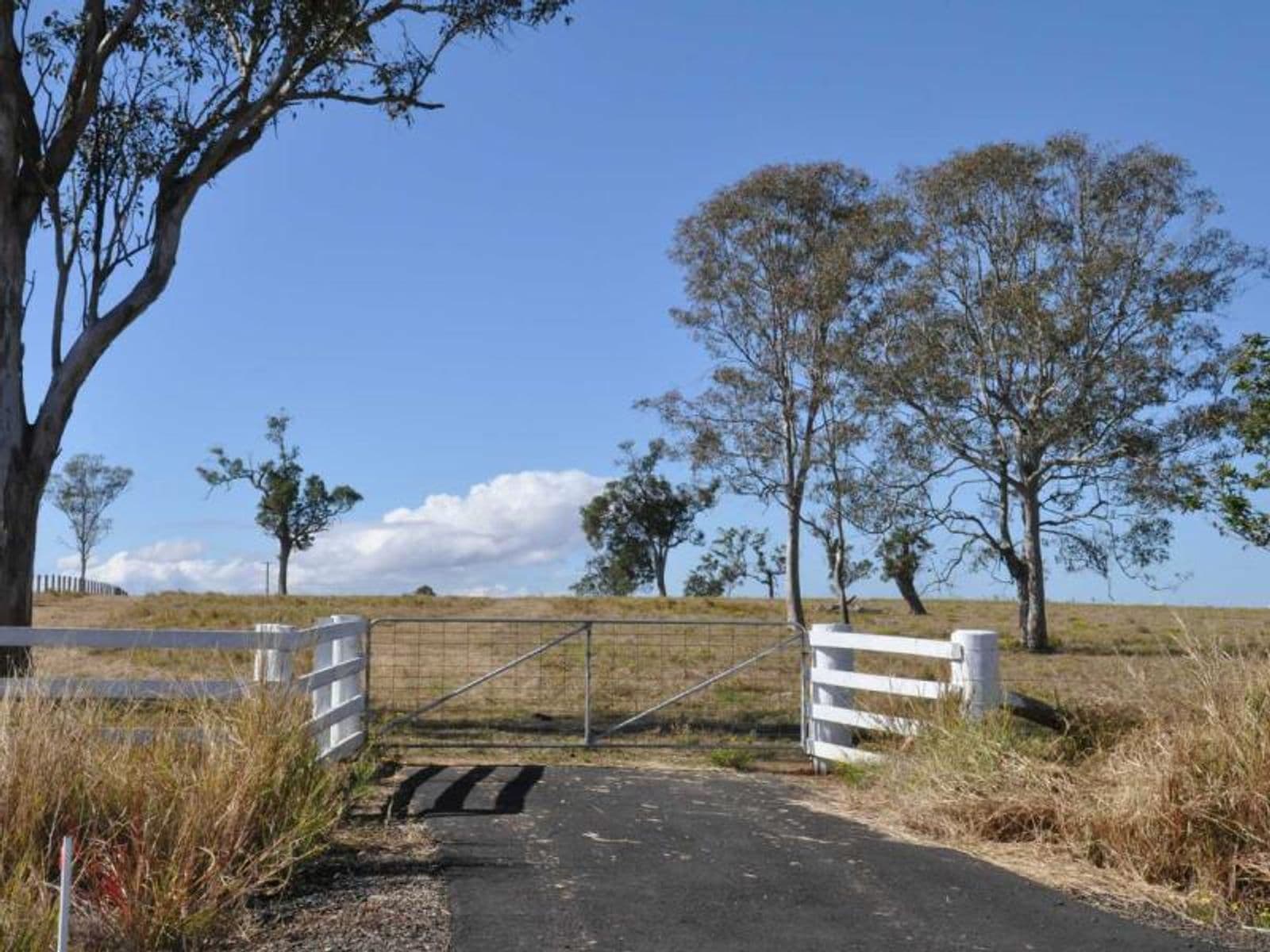 Lot 17,605 Stratheden Rd, Stratheden - Thumbnail 4