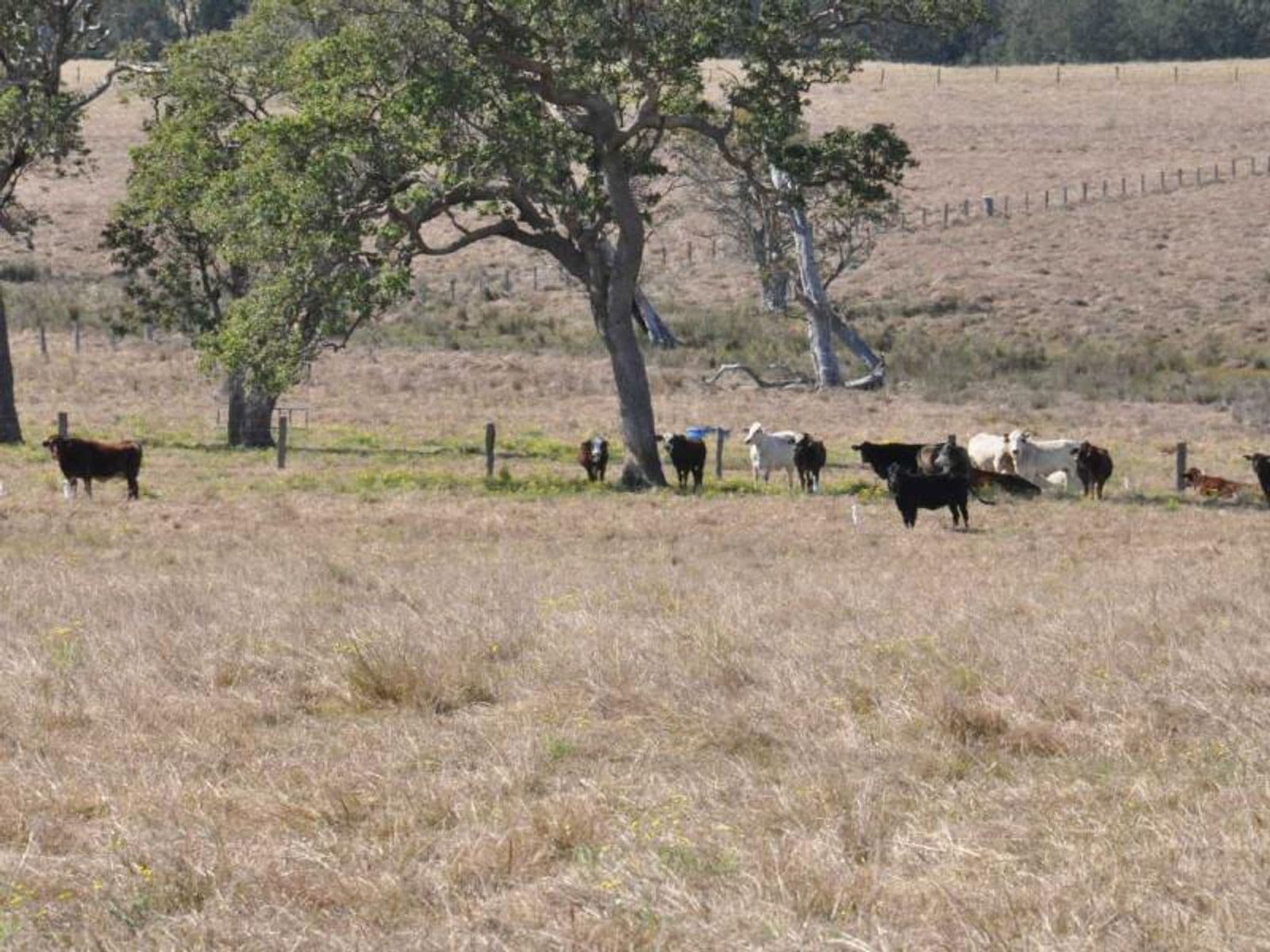 Lot 17,605 Stratheden Rd, Stratheden - Thumbnail 5