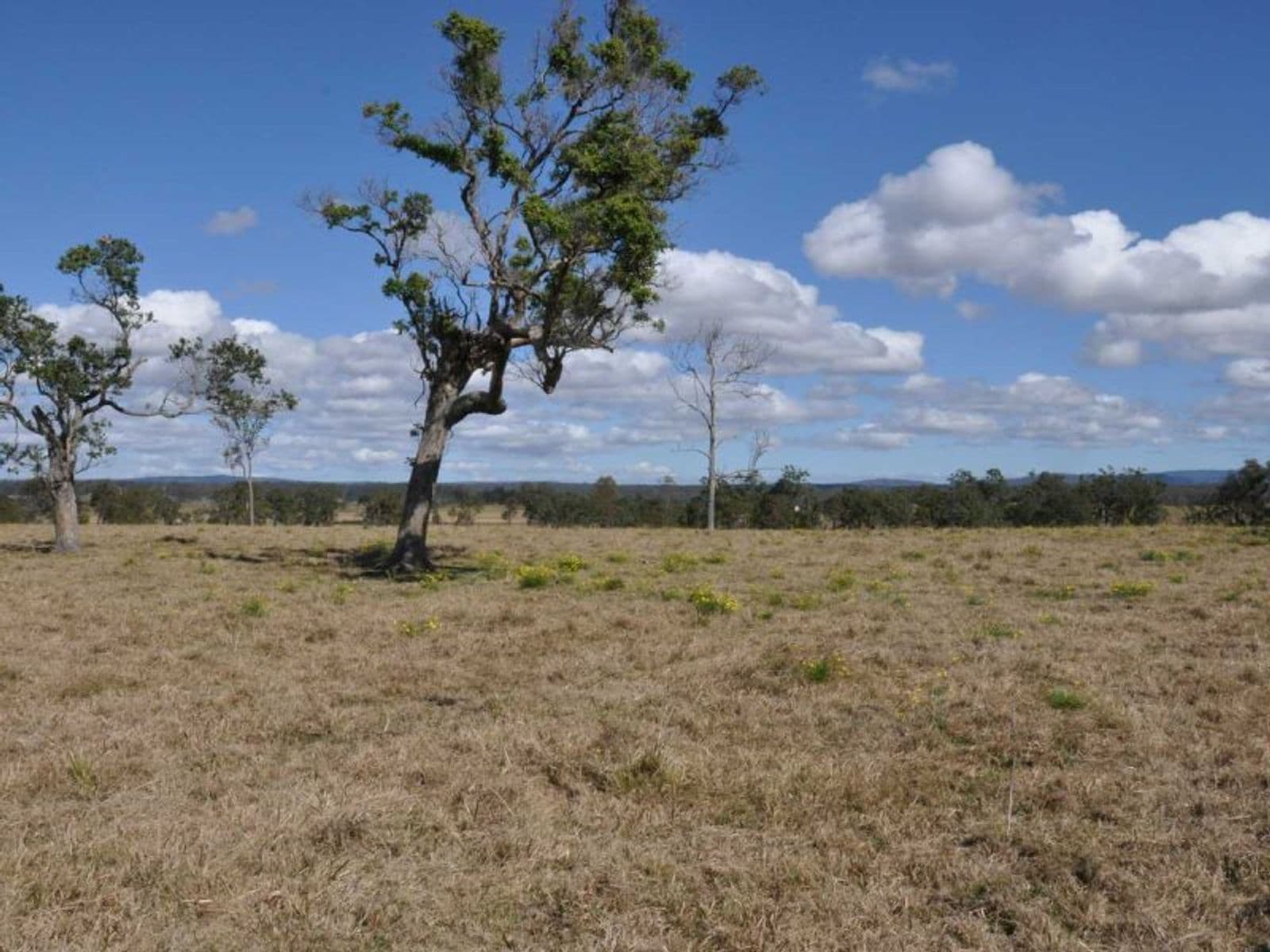 Lot 17,605 Stratheden Rd, Stratheden - Thumbnail 6