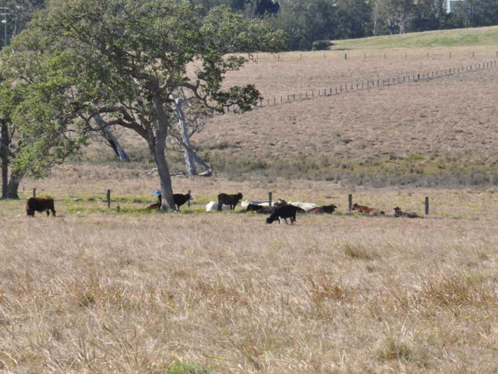 Lot 17,605 Stratheden Rd, Stratheden - Thumbnail 7
