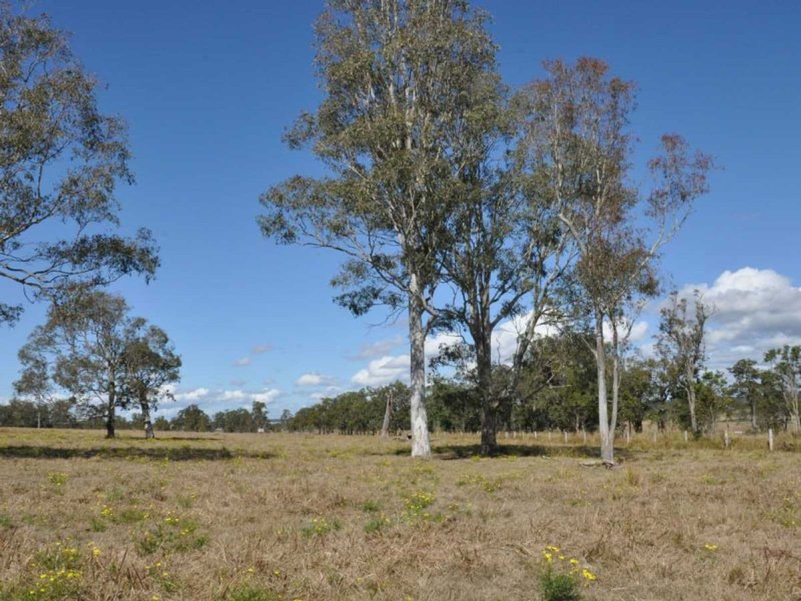 Lot 17,605 Stratheden Rd, Stratheden - Thumbnail 8