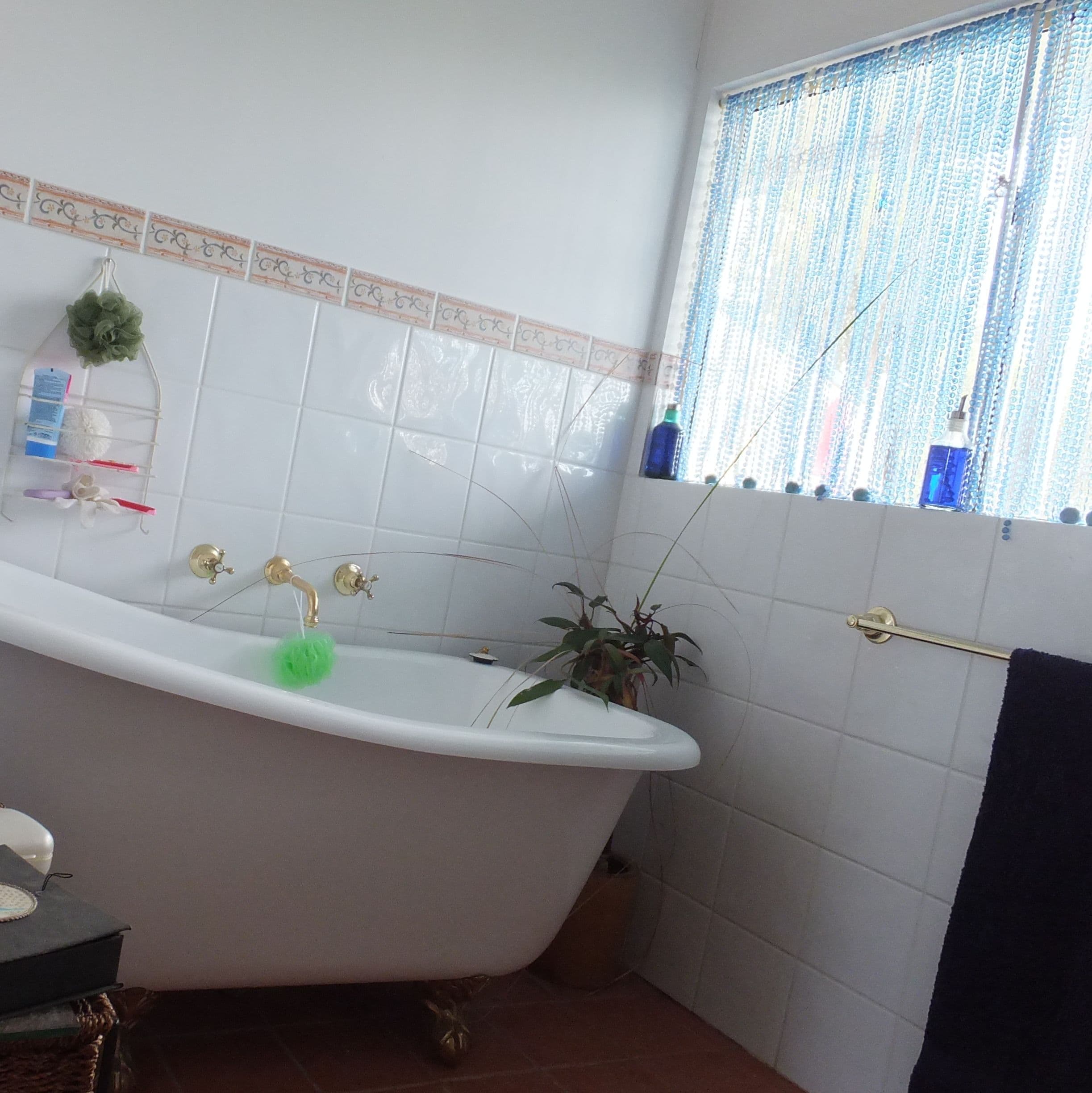 36 Blue Vista, Hopetoun WA 6348, Hopetoun - Thumbnail 8
