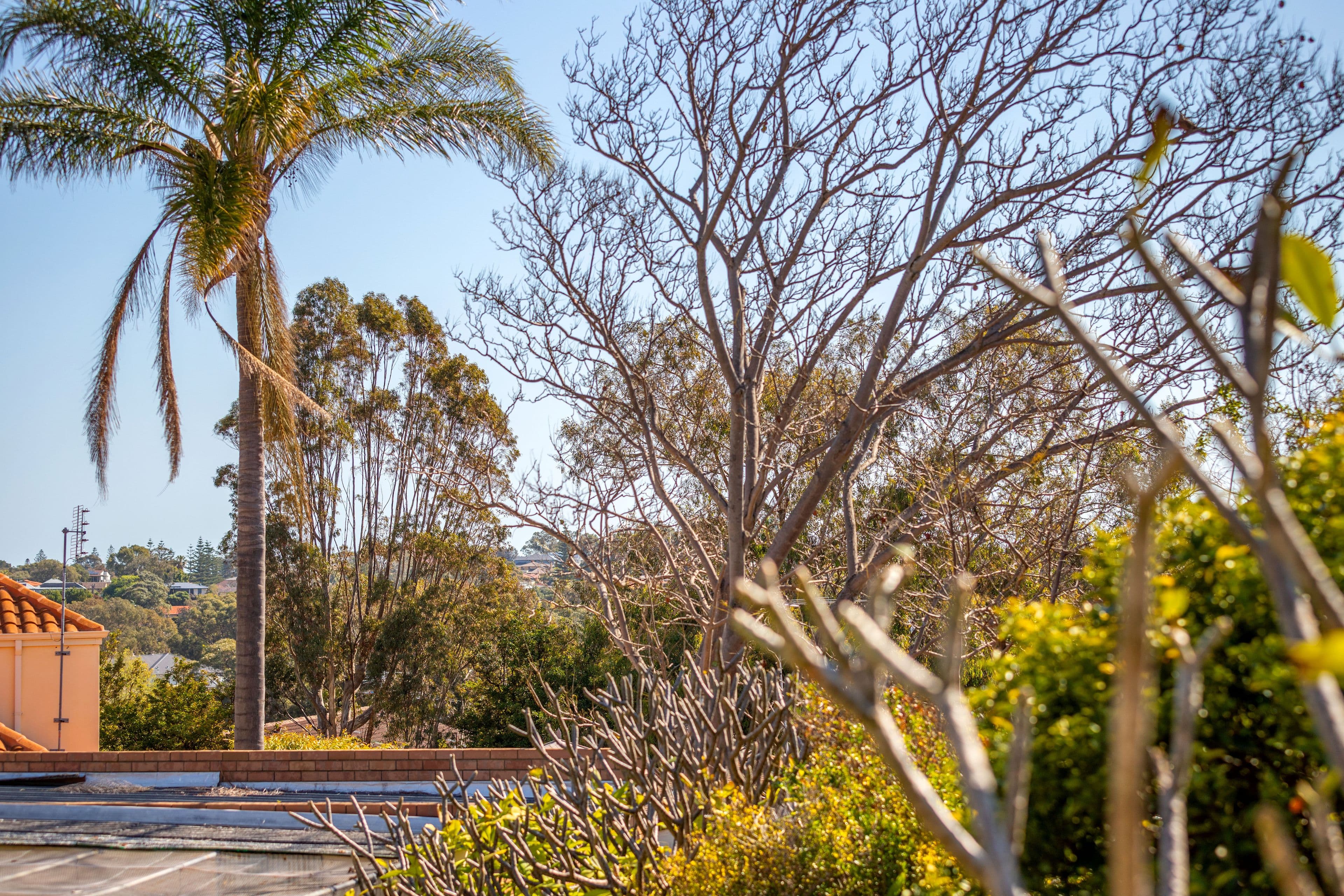 38A Purdom Road, Wembley Downs WA 6019, Wembley Downs - Thumbnail 4