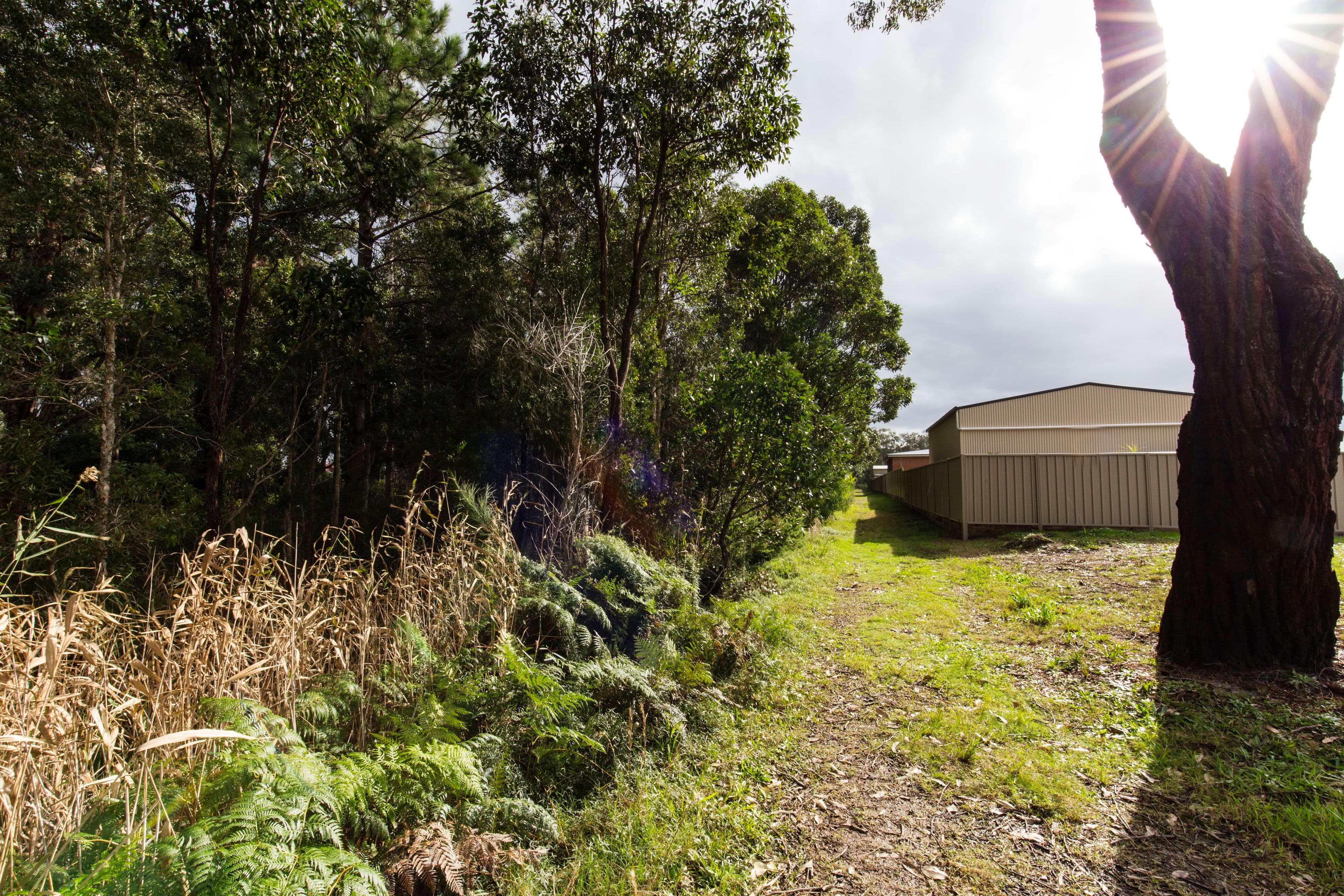 2 Ringland Close, Tea Gardens NSW 2324, Tea Gardens - Thumbnail 6