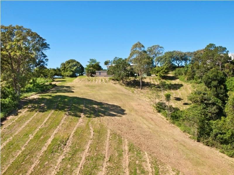 31 Ringtail Place, BLI BLI QLD 4560, Bli Bli - Thumbnail 2