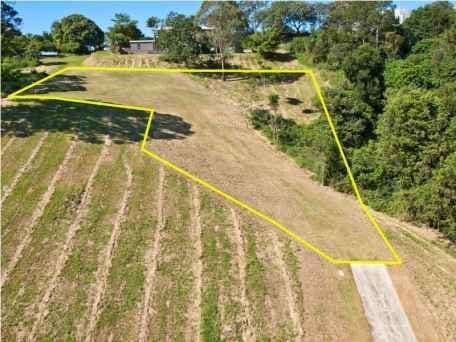 31 Ringtail Place, BLI BLI QLD 4560, Bli Bli - Thumbnail 3