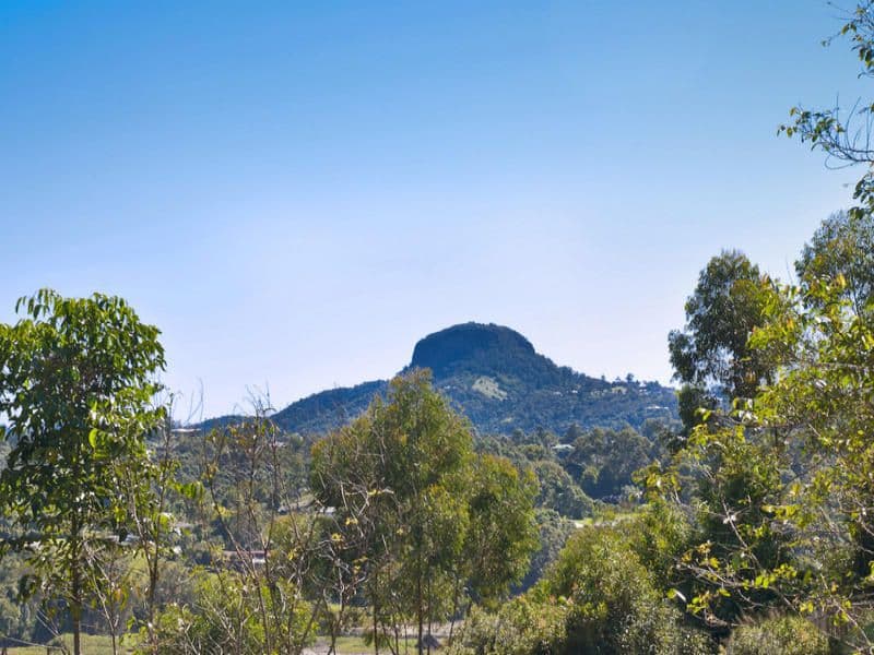 31 Ringtail Place, BLI BLI QLD 4560, Bli Bli - Thumbnail 4
