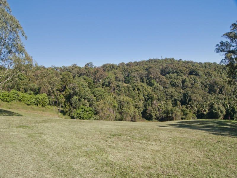 31 Ringtail Place, BLI BLI QLD 4560, Bli Bli - Thumbnail 5