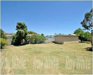 23 Auld Court, WAIKIKI WA 6169, Waikiki - Thumbnail 5