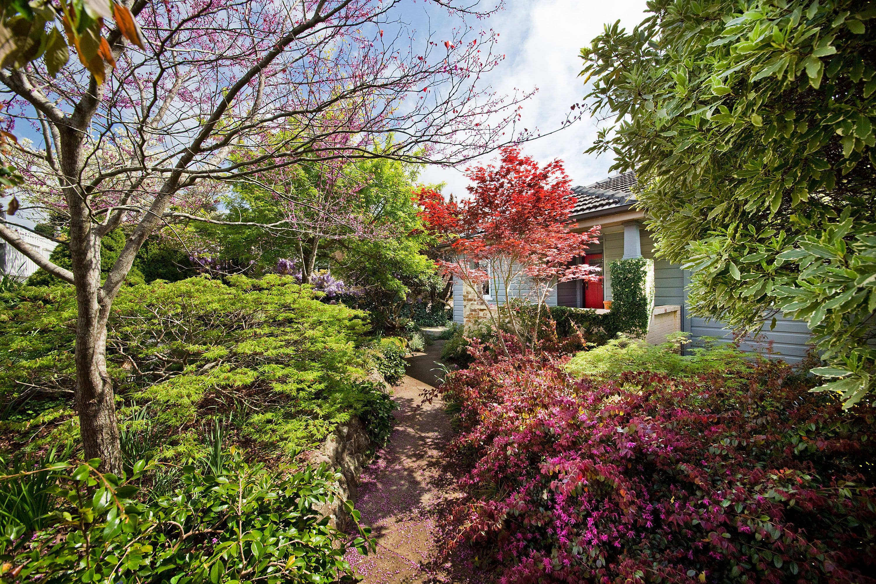 27 George Street, North Adelaide - Image 1
