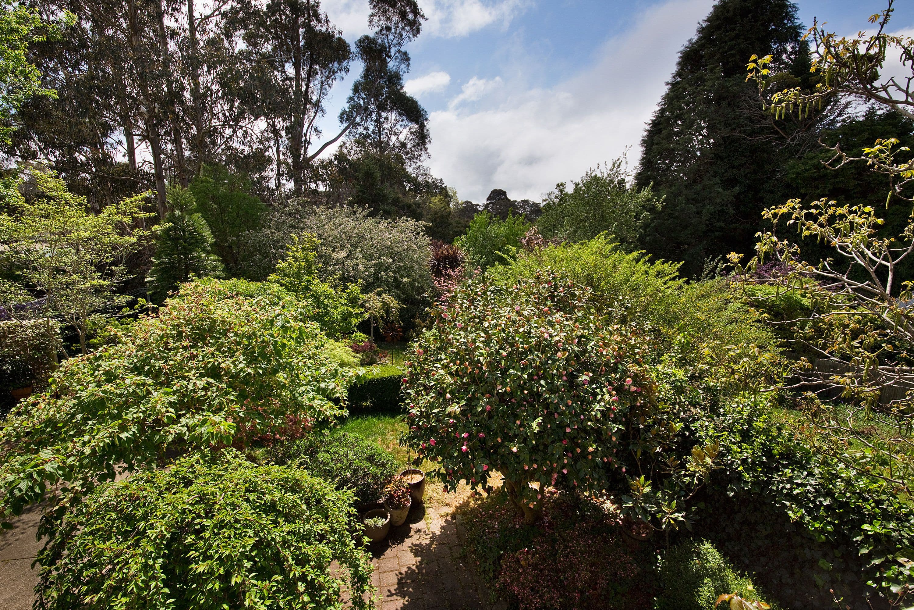 27 George Street, North Adelaide - Thumbnail 8