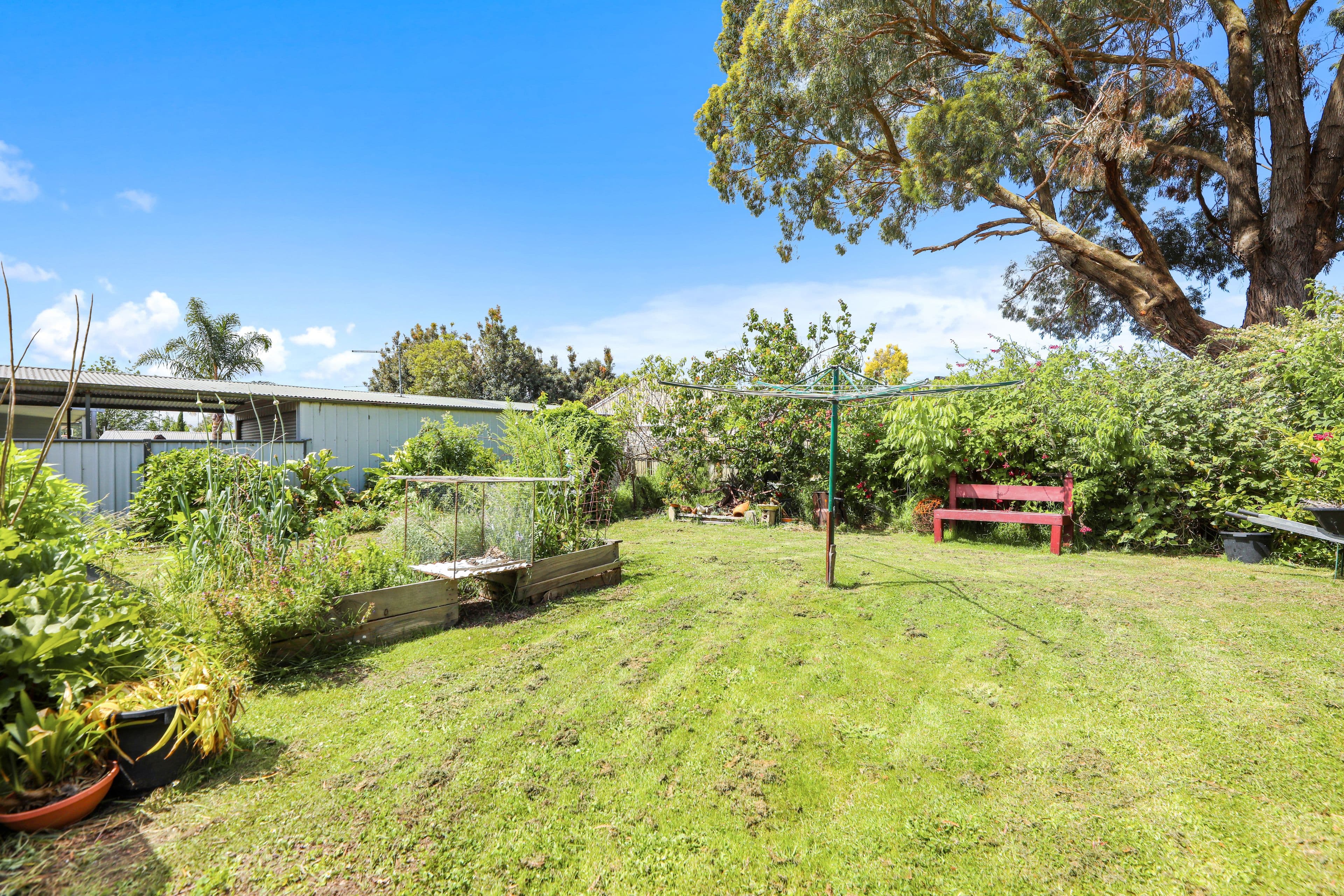 88 Contingent Street, Trafalgar VIC 3824, Trafalgar - Thumbnail 8