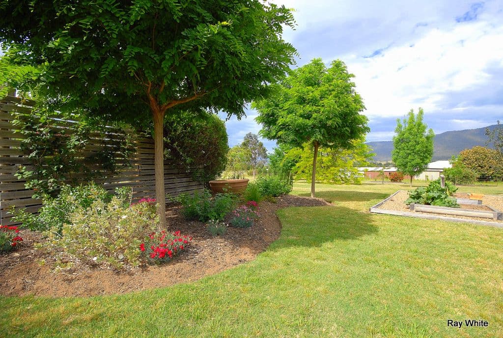 33 Hospital Hill Road, Braidwood NSW 2622, Braidwood - Thumbnail 2