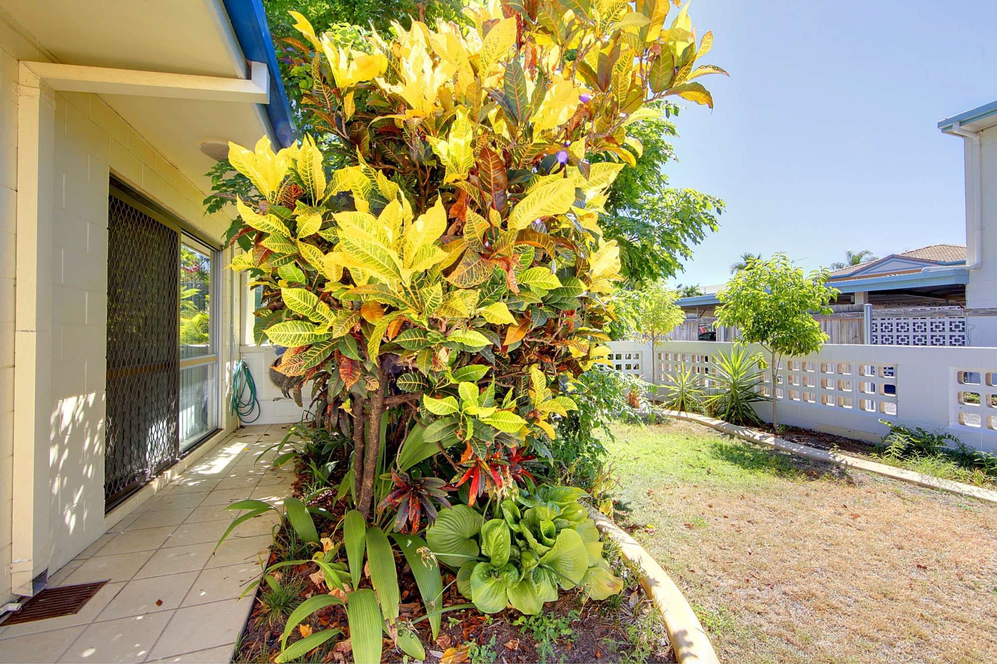 135 Eyre Street, NORTH WARD QLD 4810, North Ward - Thumbnail 2
