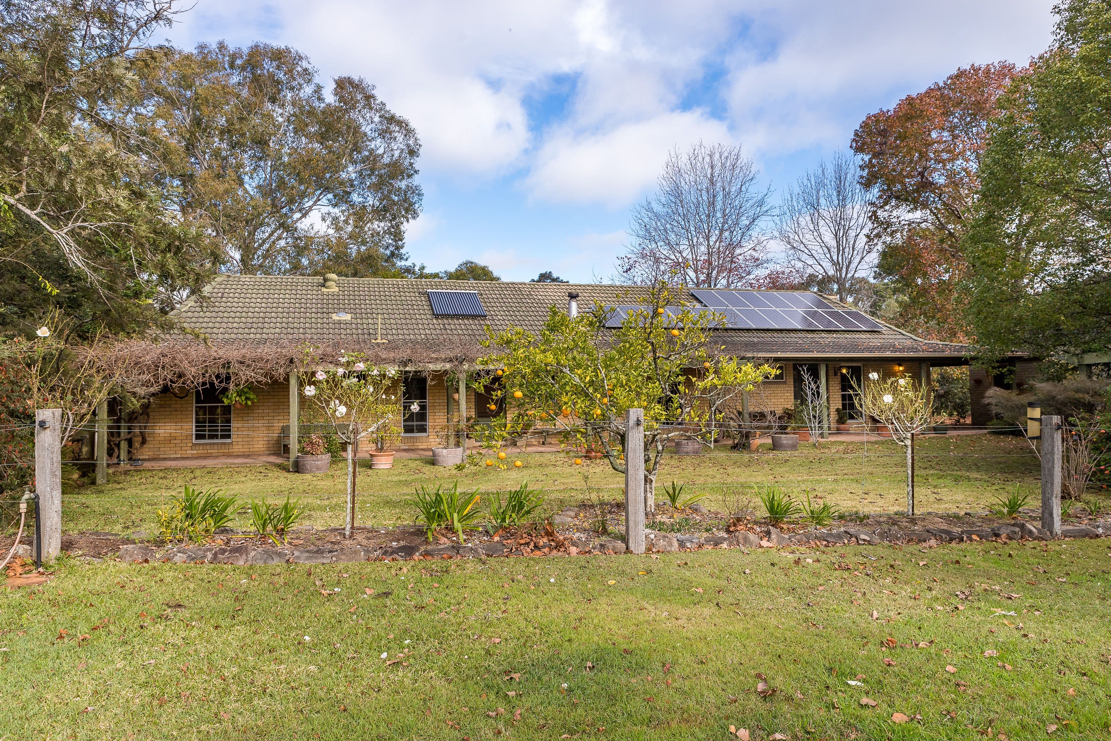 36 Martins Creek Road, Paterson - Thumbnail 2