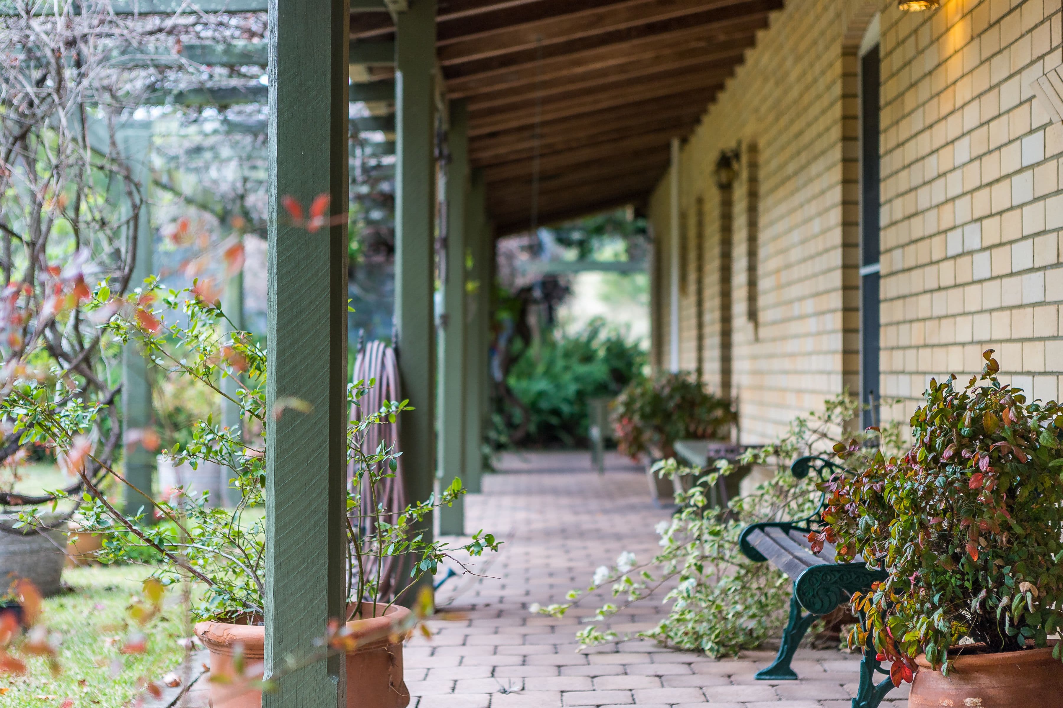 36 Martins Creek Road, Paterson - Thumbnail 5