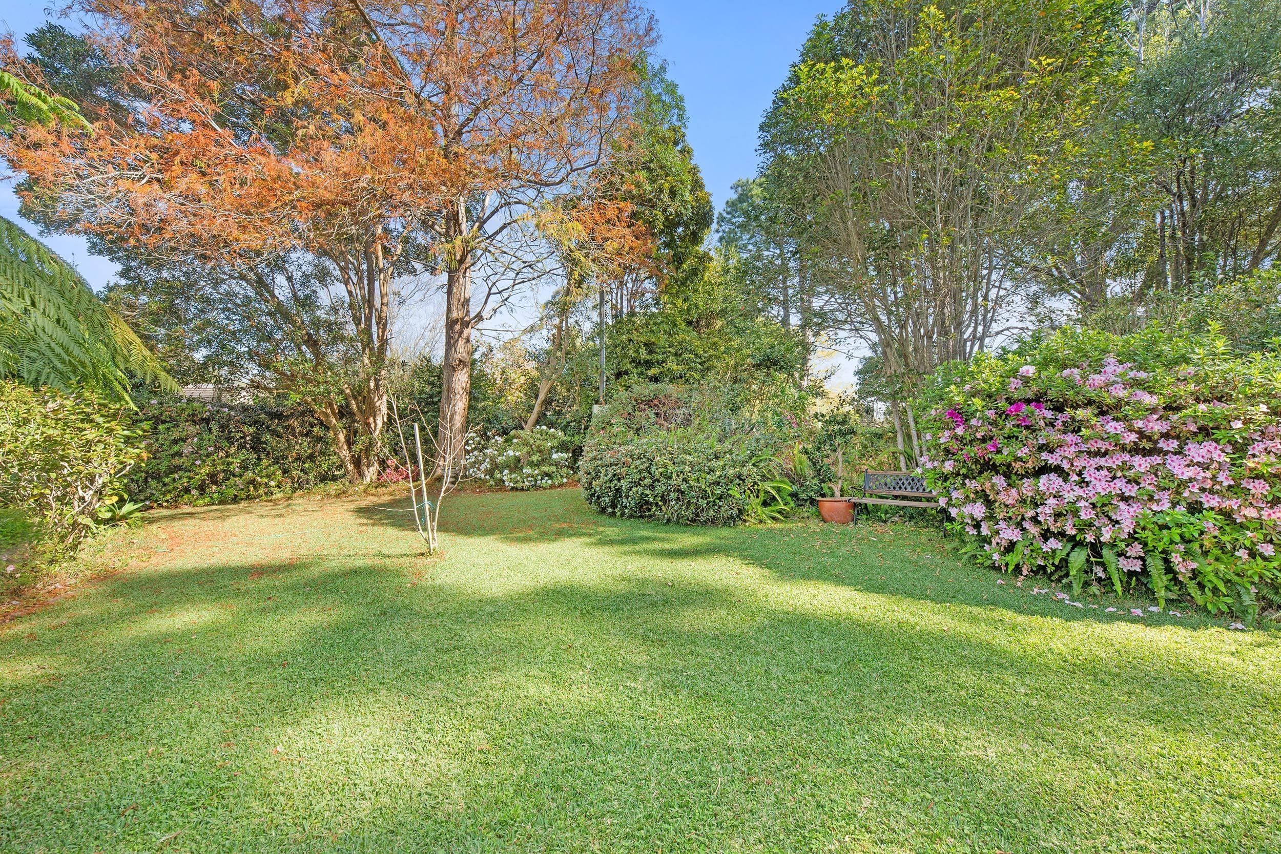 19-23 Prospect Street, Tamborine Mountain QLD 4272, Tamborine Mountain - Image 1