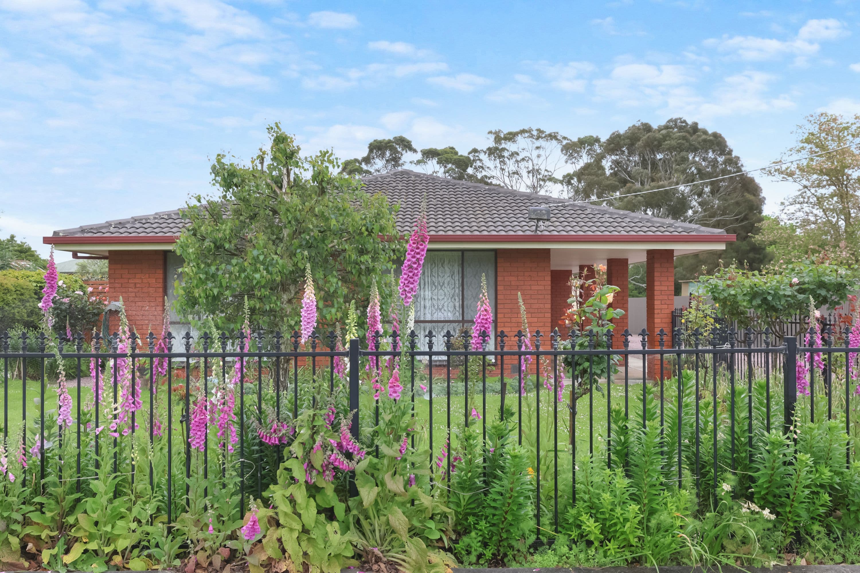 13 Ewing Street, Terang VIC 3264, Terang - Thumbnail 2