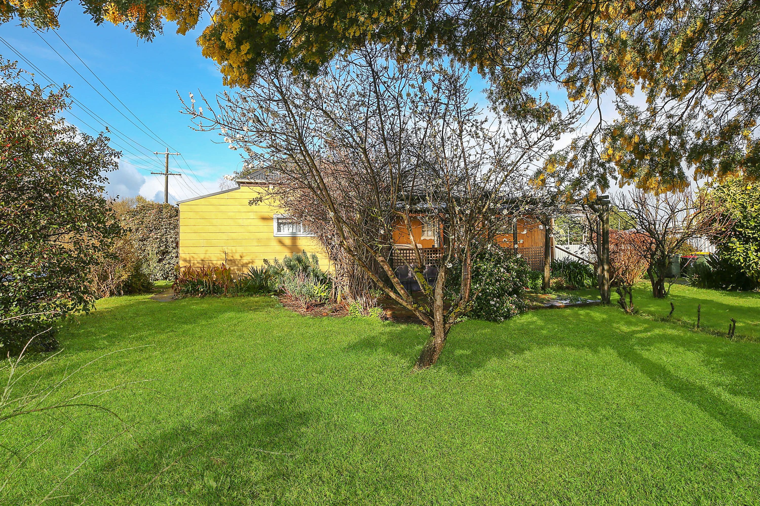 23 Thomson Street, Terang VIC 3264, Terang - Thumbnail 2