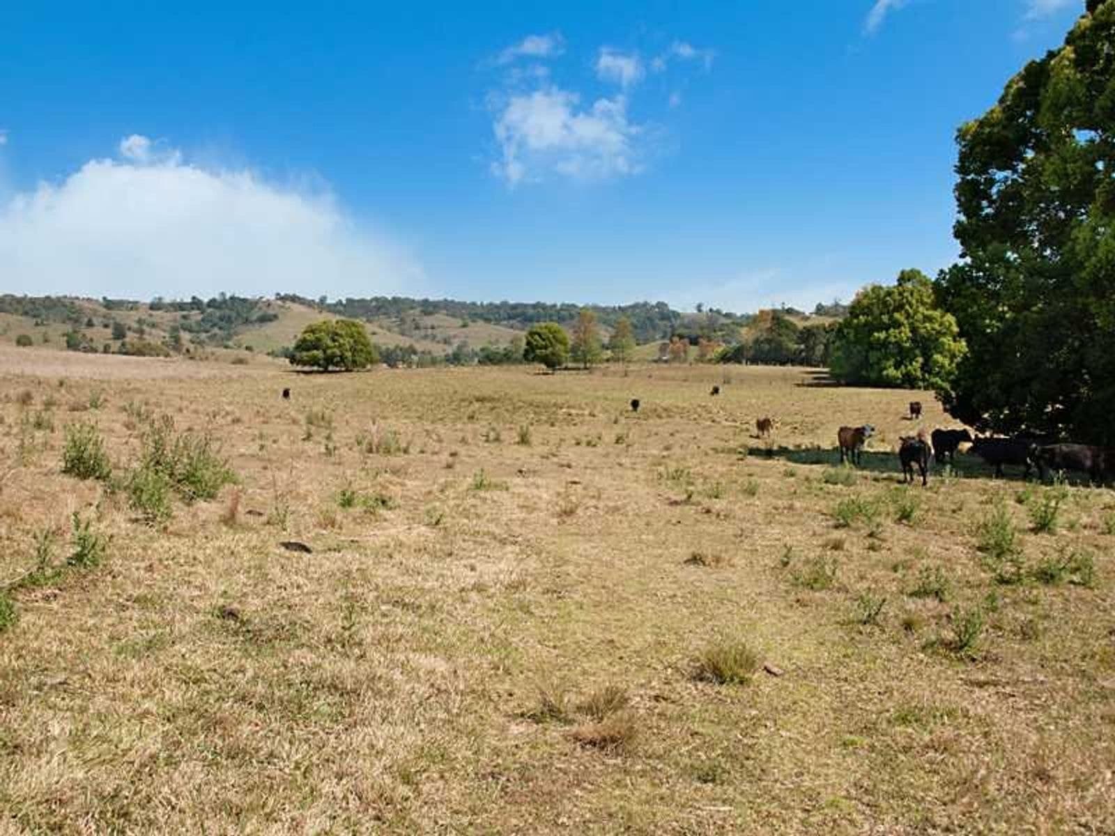 Lot 1/287 Numulgi Road, Numulgi - Thumbnail 5