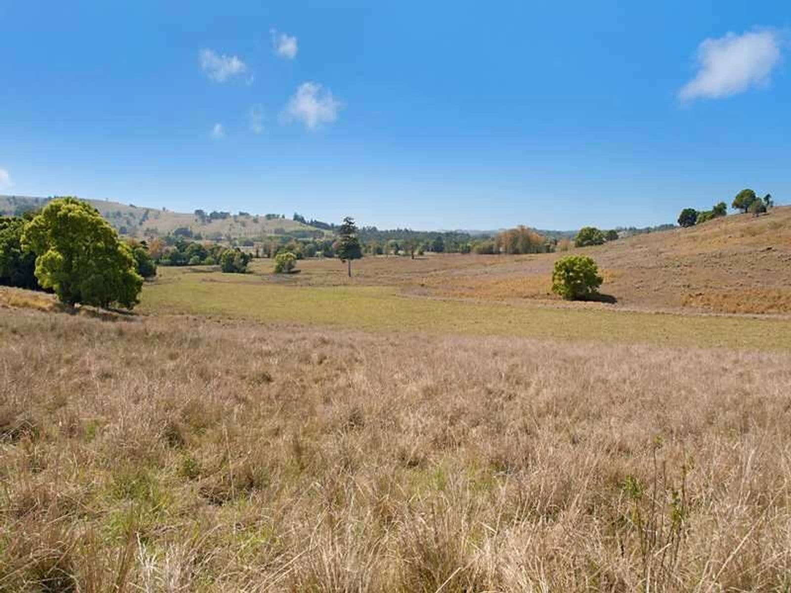 Lot 1/287 Numulgi Road, Numulgi - Thumbnail 7
