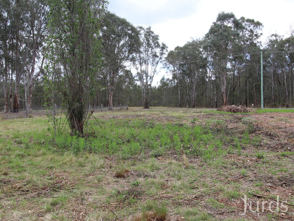1045 Wollombi Road, Greta Main, Greta Main - Image 1