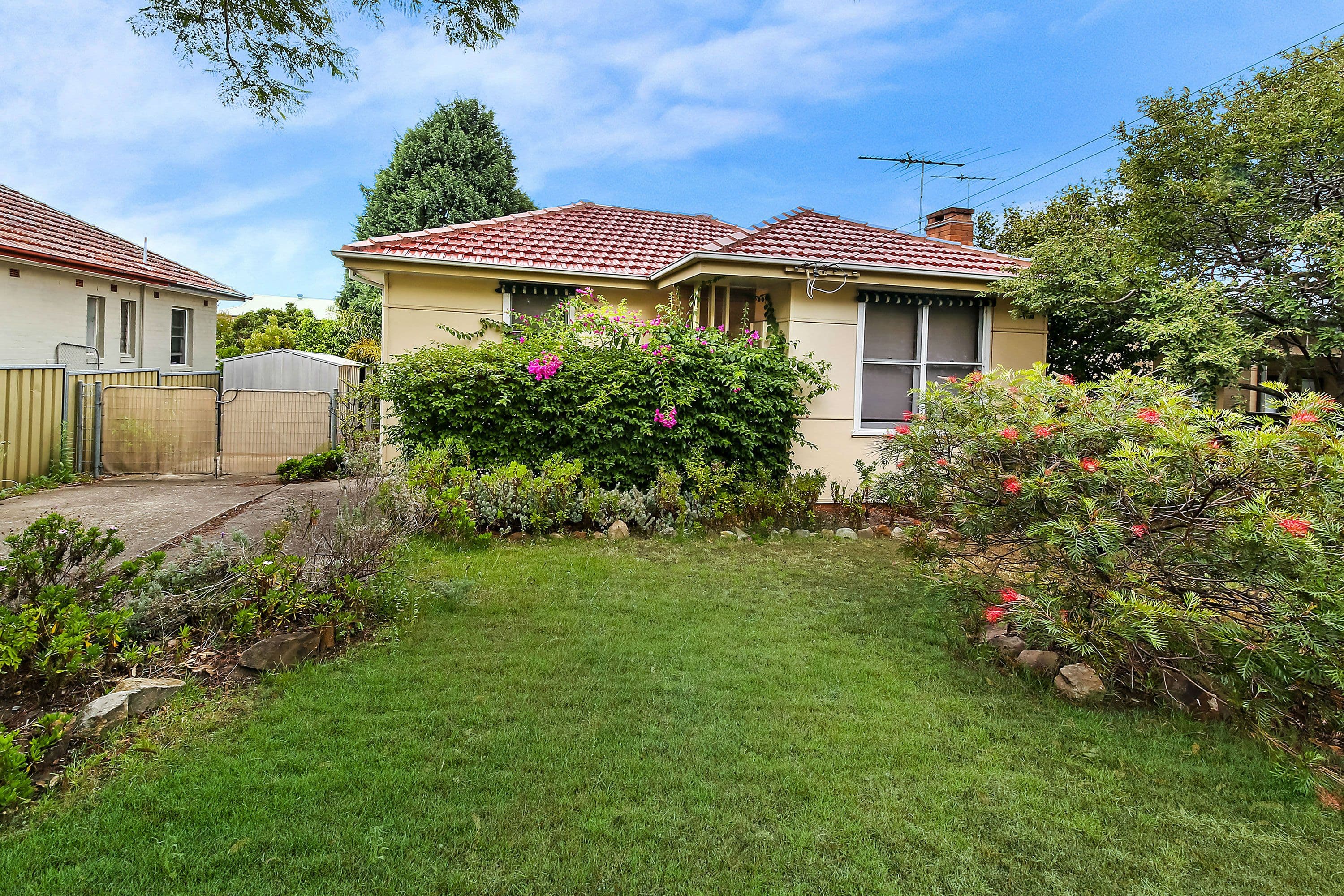 861 Forest Road, Lugarno - Thumbnail 5
