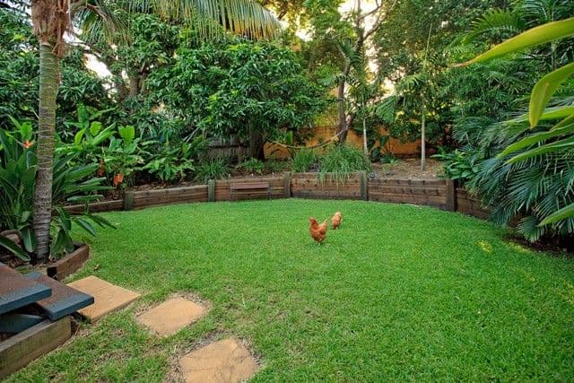 66 Riding Road, HAWTHORNE QLD 4171, Hawthorne - Thumbnail 2