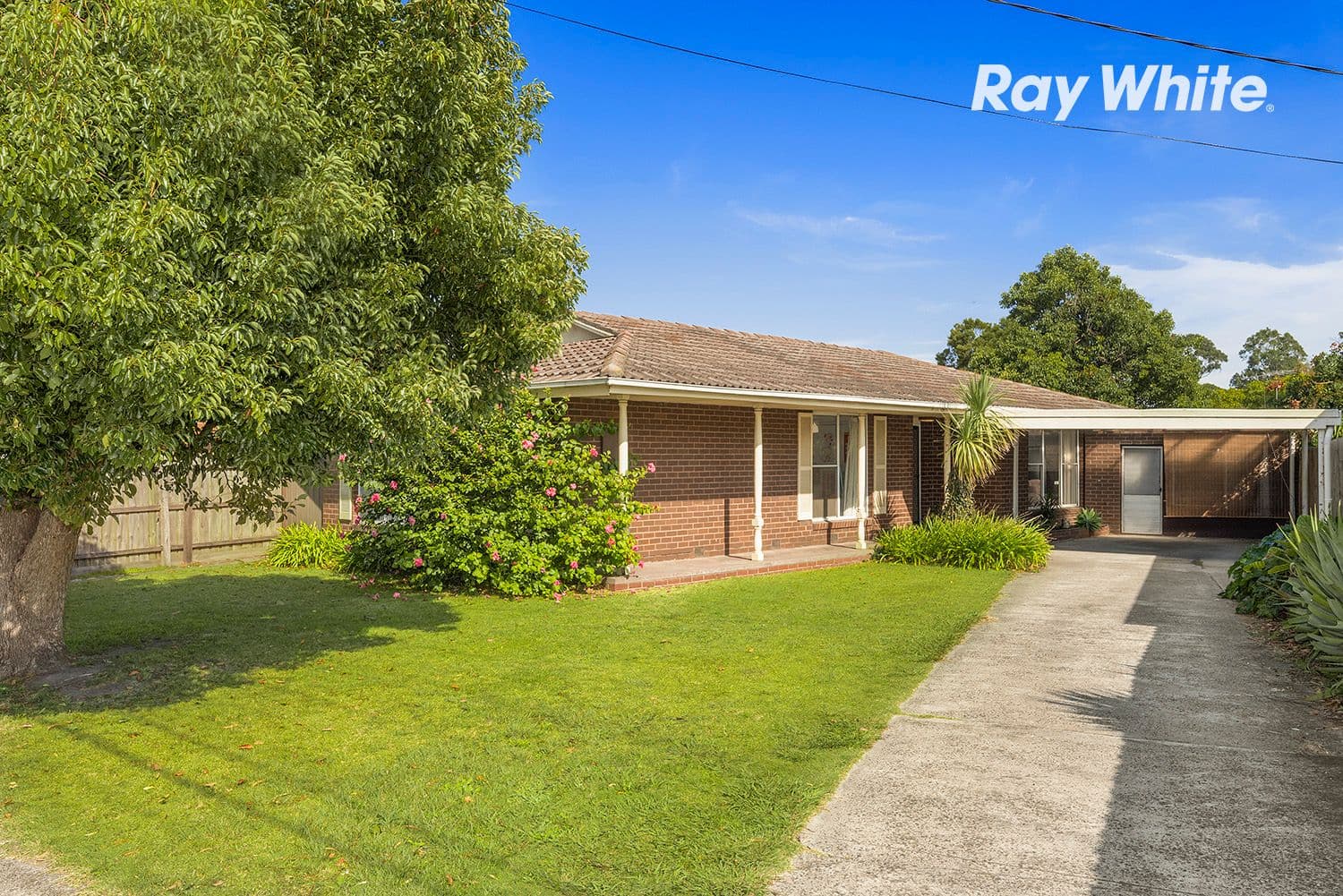 256 Spring Road, Dingley Village VIC 3172, Dingley Village - Image 1