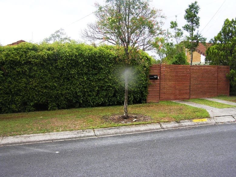 15 Panache Street, MOLENDINAR QLD 4214, Molendinar - Thumbnail 4