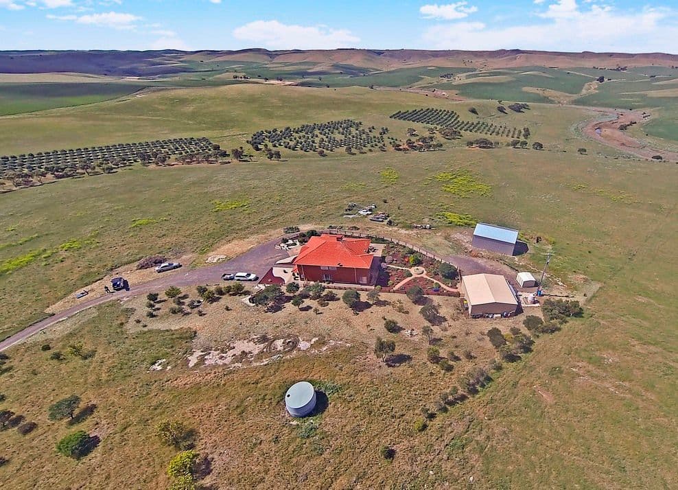 Lot 612 St Kilda Drive Hansborough VIA, KAPUNDA SA 5373, Kapunda - Image 1