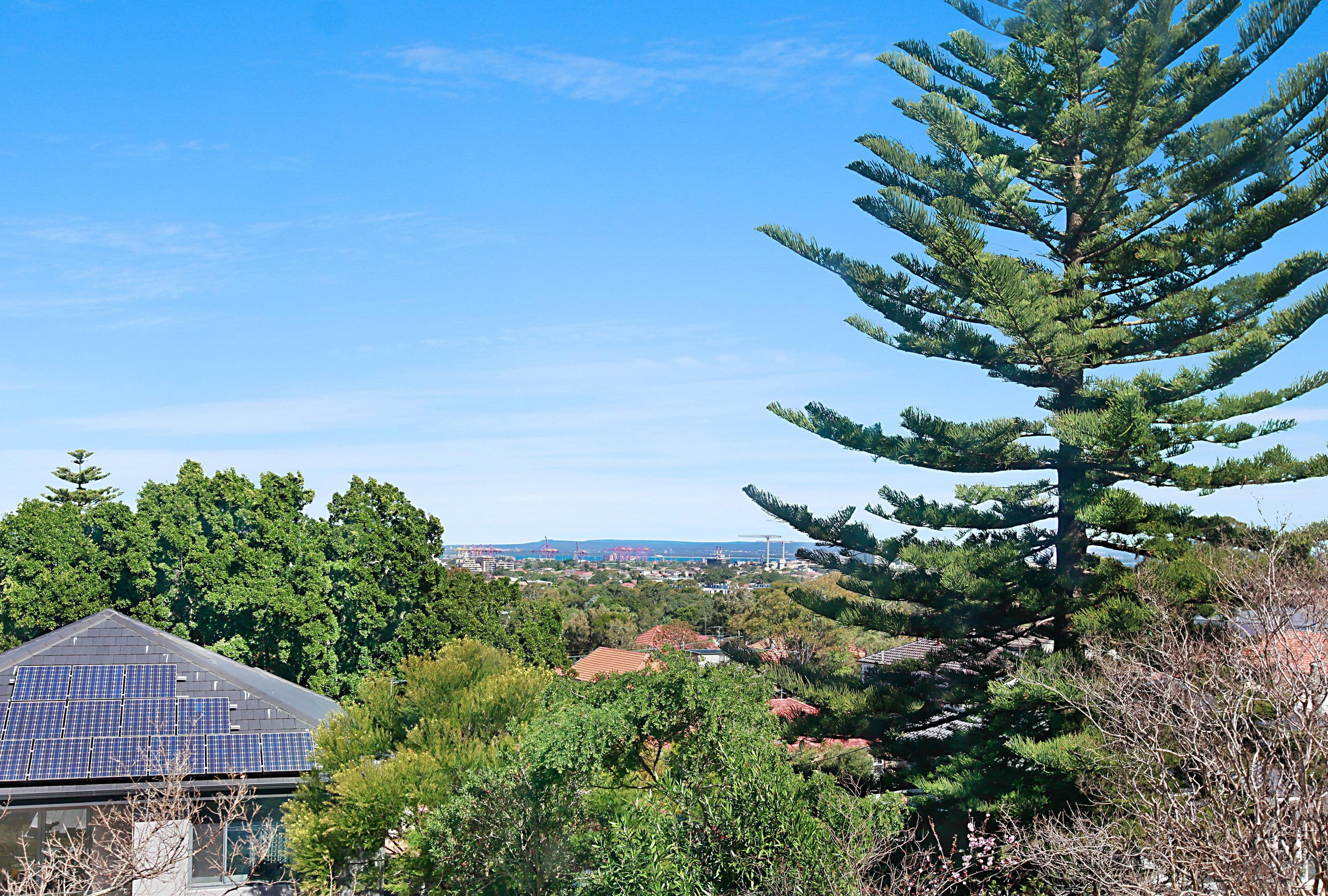 112 Oberon Street, Randwick - Thumbnail 8