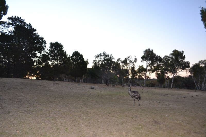 Lot 153 Gottwald Road, WILLIAMSTOWN SA 5351, Williamstown - Thumbnail 2
