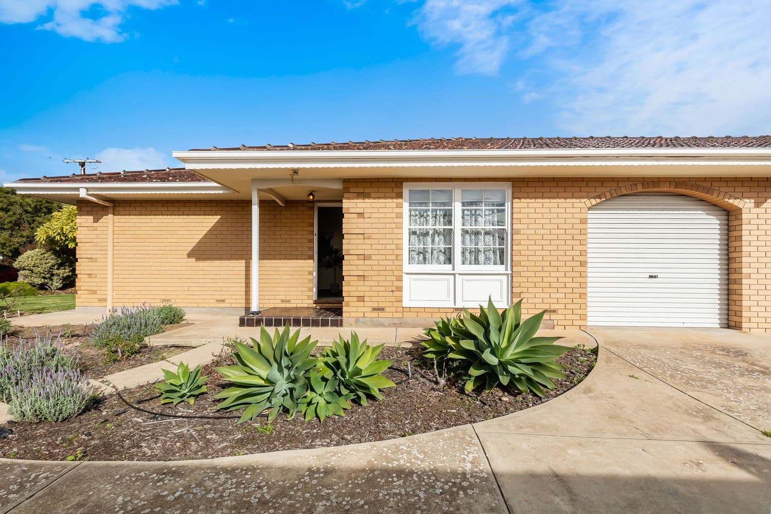 16 Surf Street, South Brighton SA 5048, South Brighton - Image 1