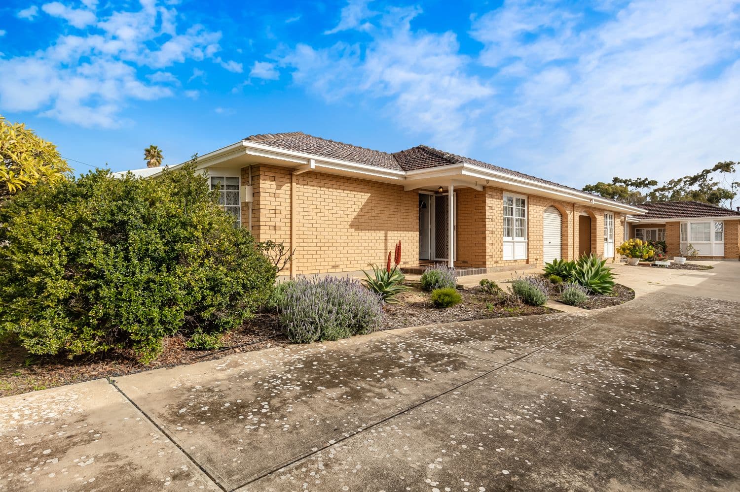 16 Surf Street, South Brighton SA 5048, South Brighton - Thumbnail 2