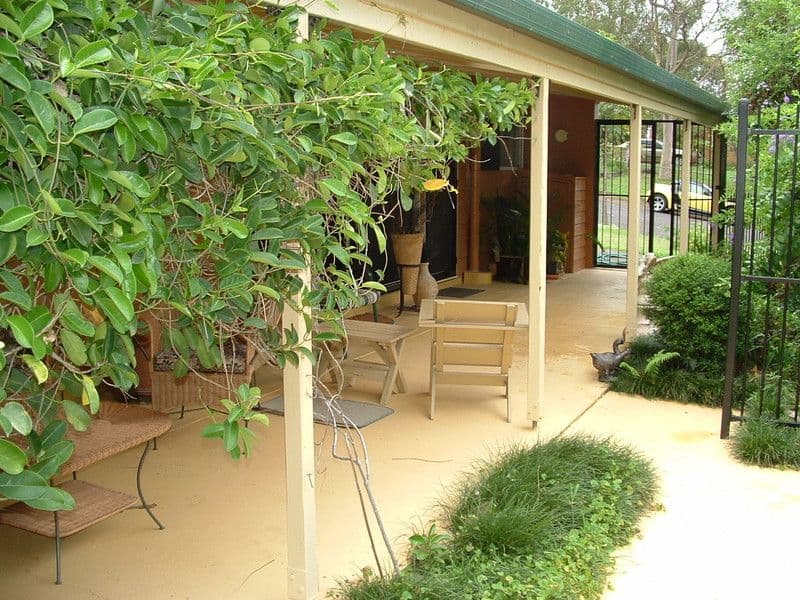22 David Road, HOLLAND PARK QLD 4121, Holland Park - Thumbnail 7