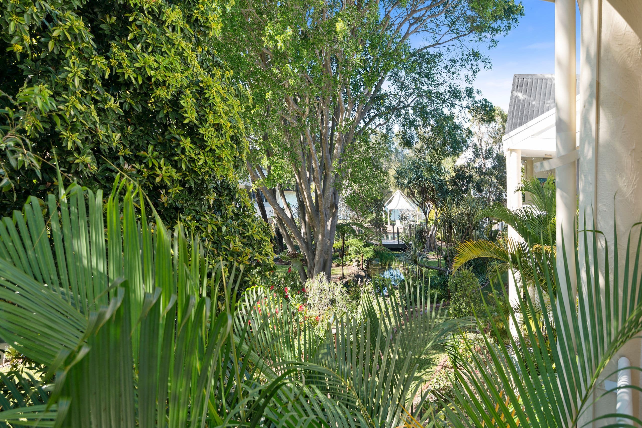 56 Guineas Creek Road, Currumbin Waters QLD 4223, Currumbin Waters - Thumbnail 6