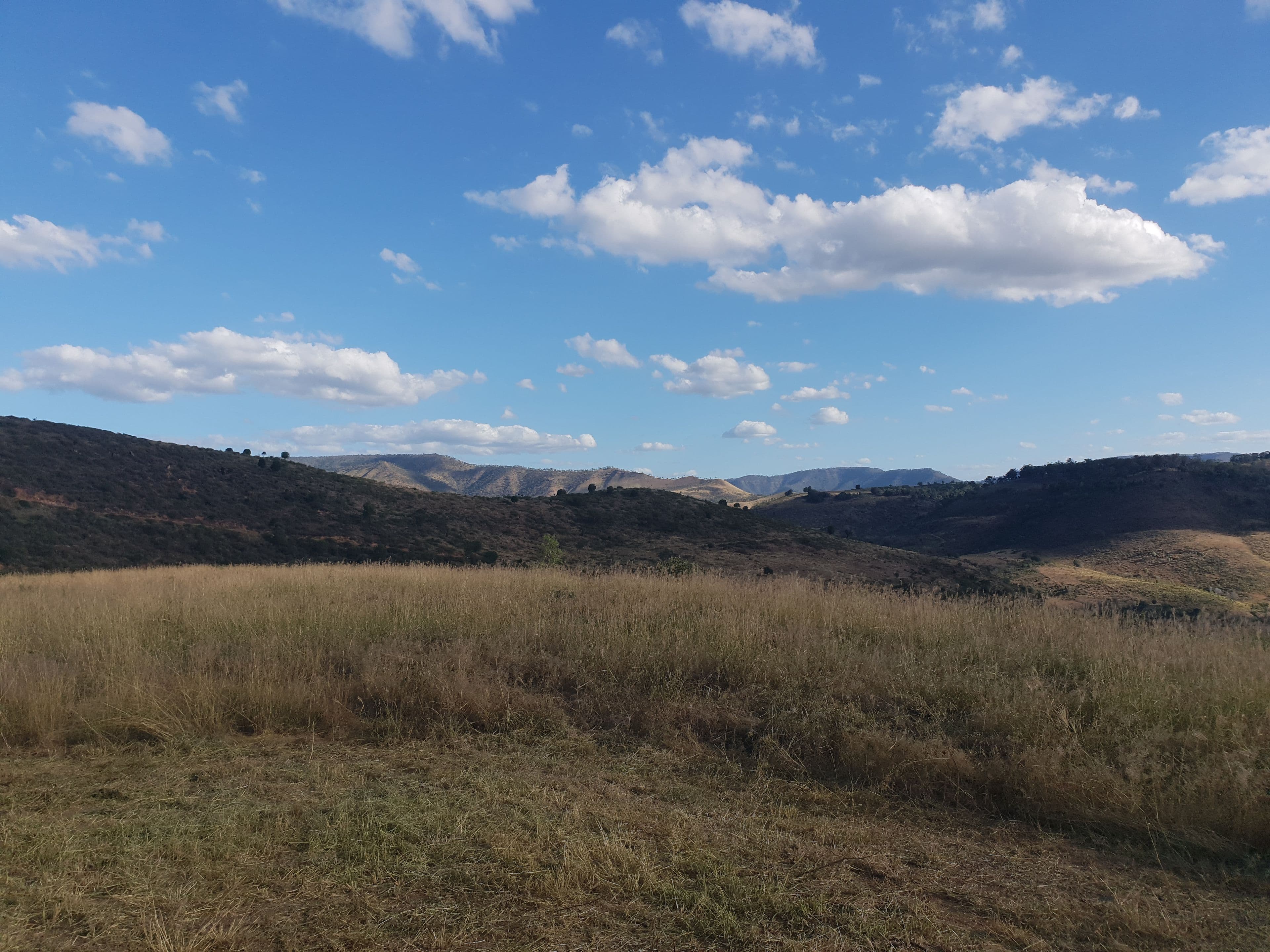 L200 Zischkes Road, Ingoldsby QLD 4343, Ingoldsby - Thumbnail 8
