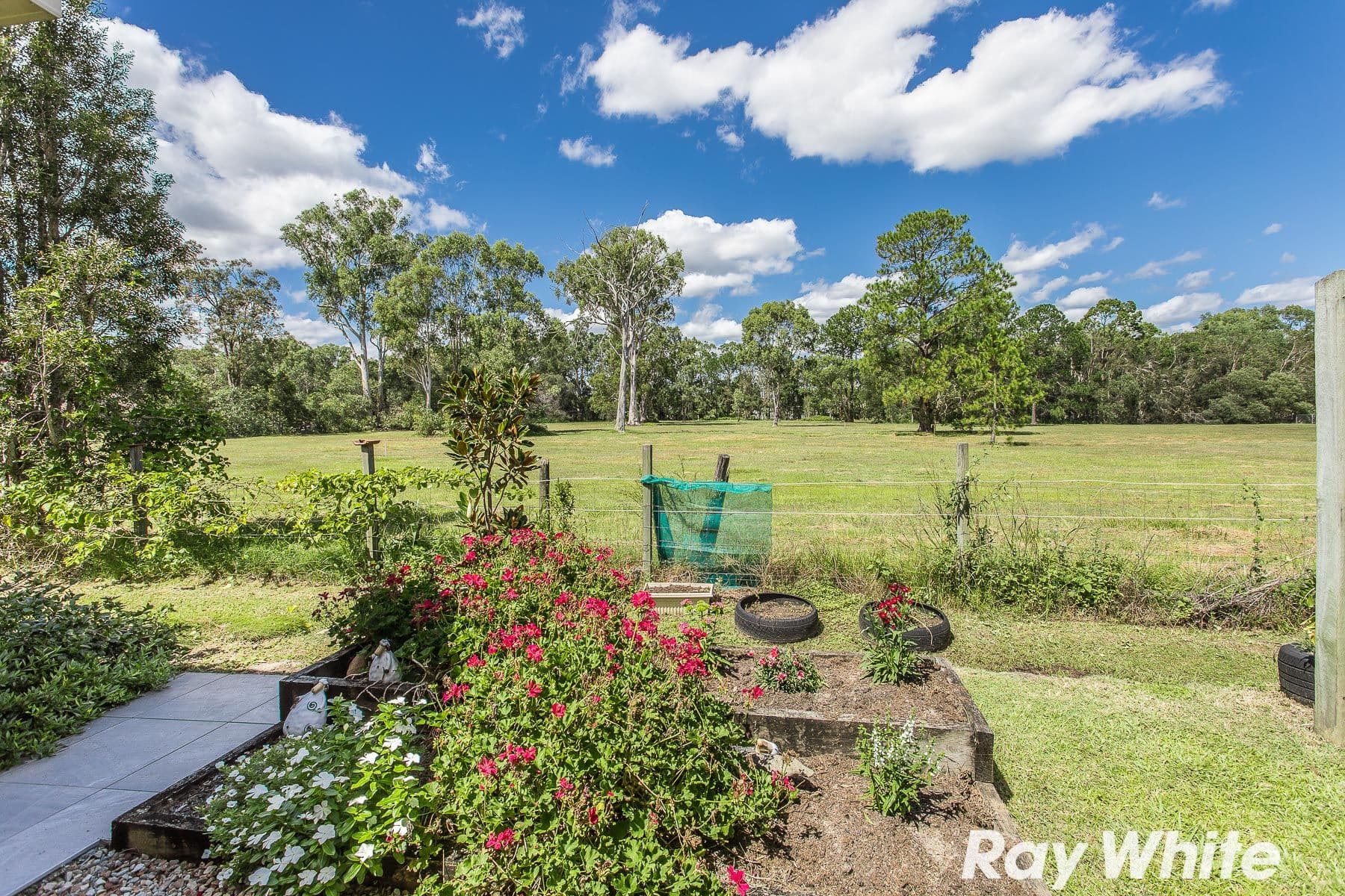 8 Coojong Court, Burpengary QLD 4505, Burpengary - Thumbnail 5