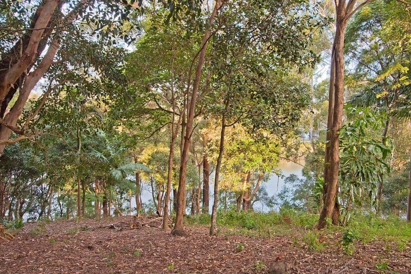 24 Anconia Avenue, TWEED HEADS WEST NSW 2485, Tweed Heads West - Thumbnail 8
