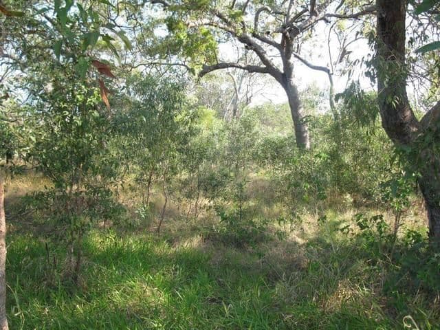 1 Watermark Avenue, Agnes Water QLD 4677, Agnes Water - Thumbnail 5
