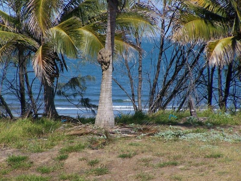 Lot 18 Coast Court, YEPPOON QLD 4703, Yeppoon - Thumbnail 2