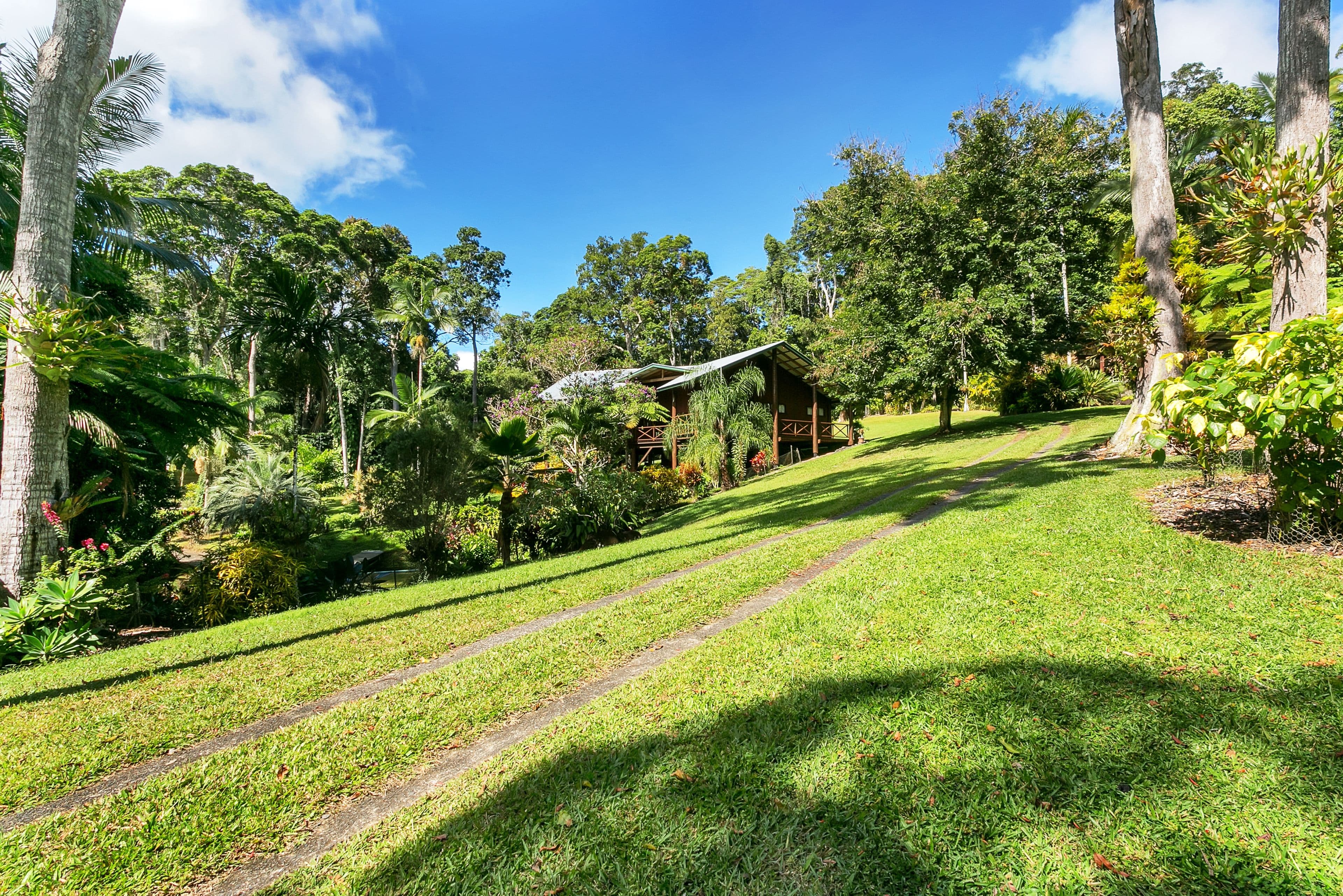 263 Oak Forest Road, Kuranda QLD 4881, Kuranda - Image 1