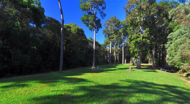 263 Oak Forest Road, Kuranda QLD 4881, Kuranda - Thumbnail 5