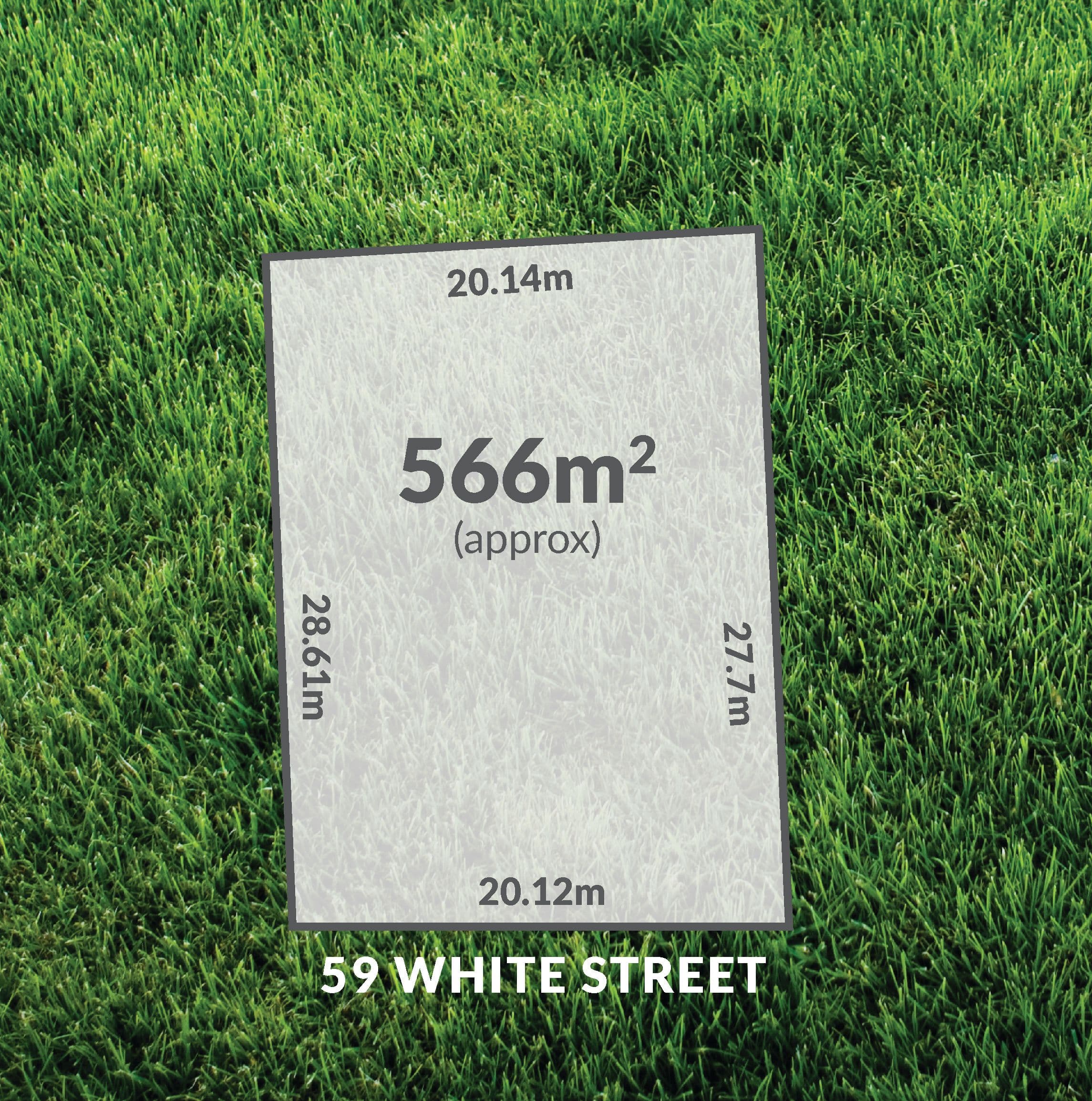 59 White Street, Henley Beach SA 5022, Henley Beach - Thumbnail 3