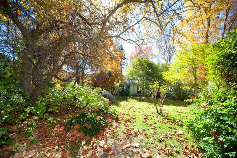 23 Monmouth Street, MOUNT VICTORIA NSW 2786, Mount Victoria - Image 1